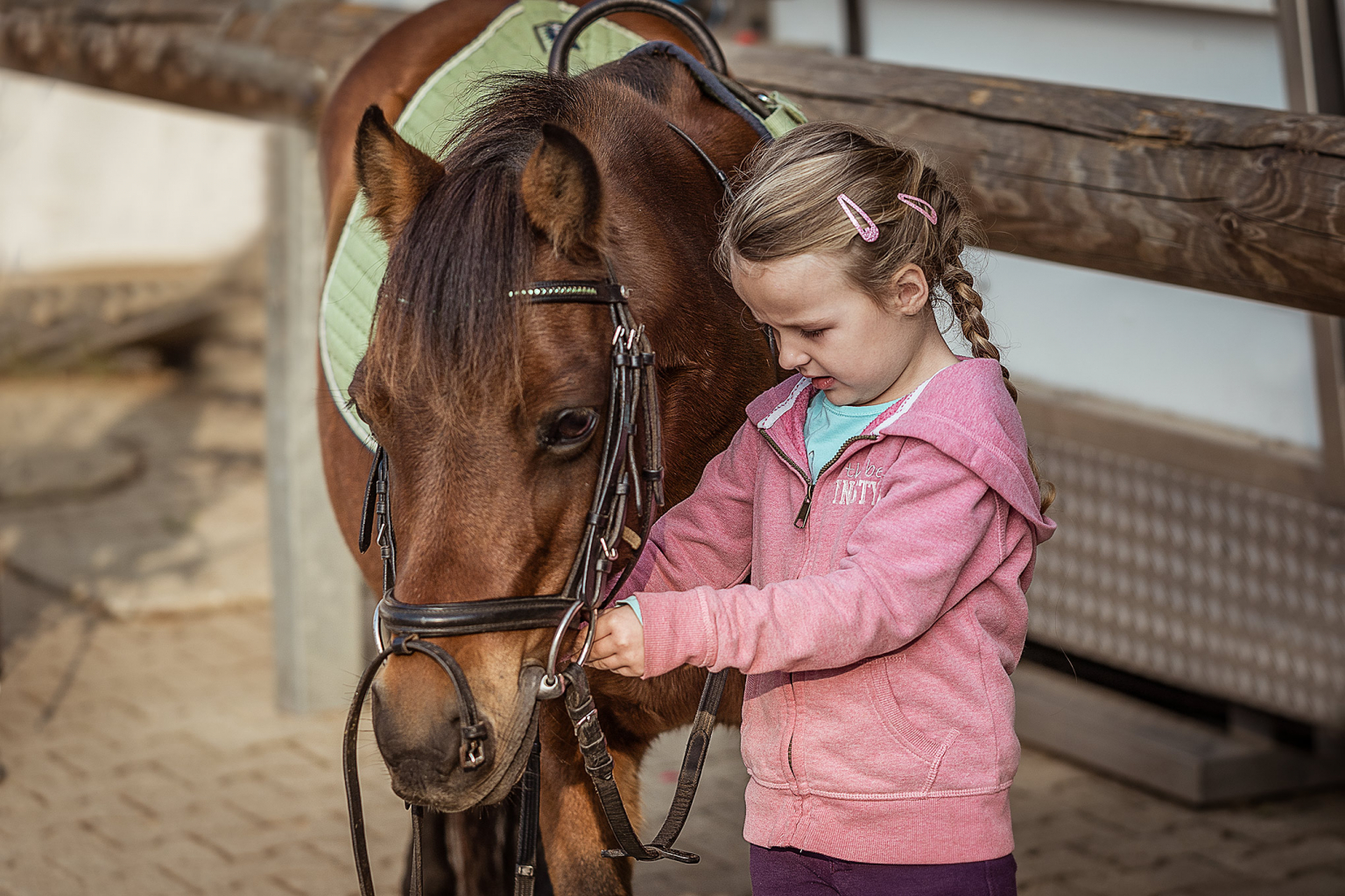 Reitschule An der Steinheide Reitunterricht bei Katrin Schlegel in Kerpen